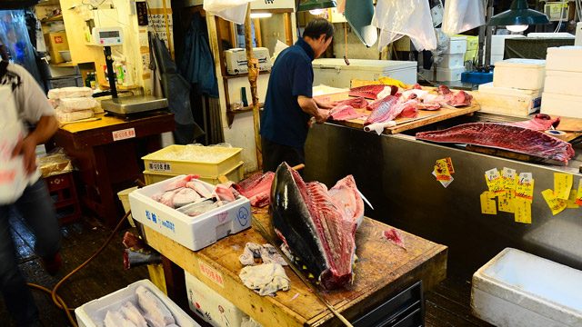 Toxic chemicals detected at Tokyo’s new fish market site