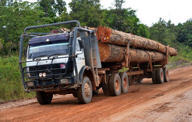 Borneo loggers swap chainsaws for cheap healthcare