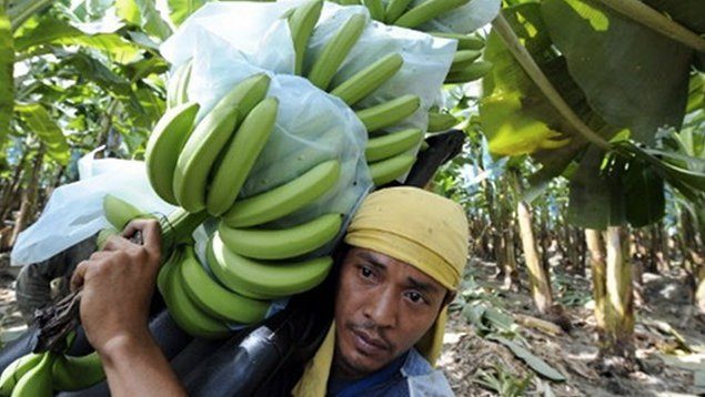 PH asks Australia to open market for banana growers