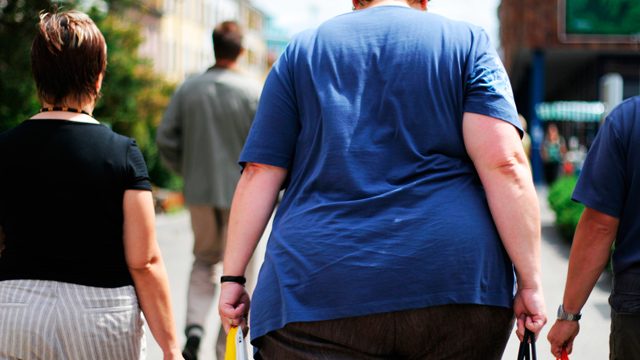 EU court says obesity can be disability