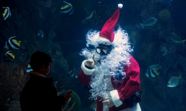 Seorang Santa Claus menyelam di akuarium raksasa dan mencoba berkomunikasi dengan seorang anak. Foto oleh EPA  