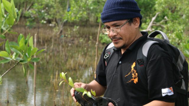 DRR Coordinator Frank Salindato shows some of the 2,000 reserved mangrove seedlings. Photo by Joy Maluyo/World Vision  
