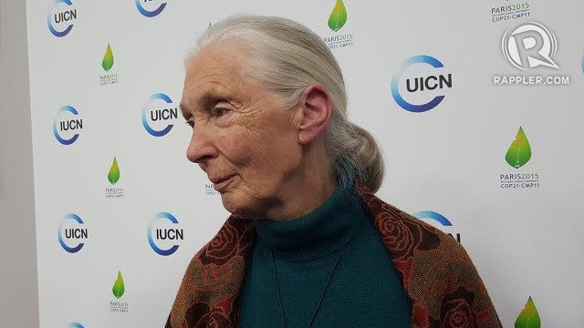 WATCH: Jane Goodall speaks for animals at UN climate summit