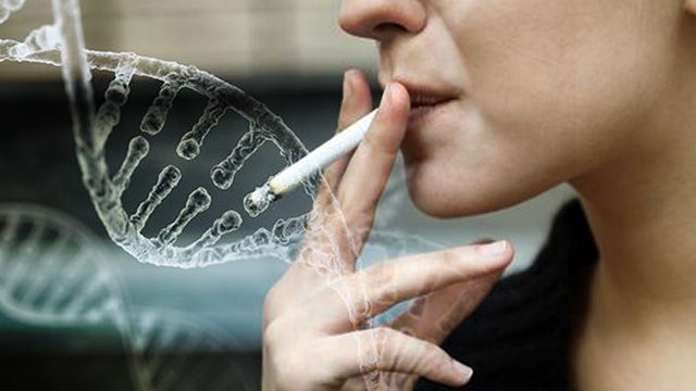Major study confirms moms’ smoking changes fetal DNA