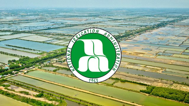Agri chief seeks P4B additional funds for NIA