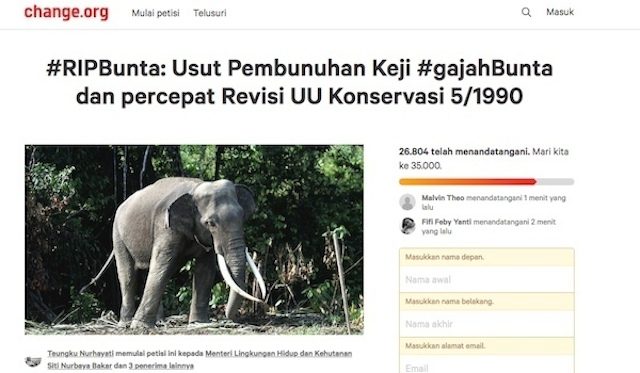 PETISI. Sebuah petisi dirintis di laman change.org menuntut pengusutan tuntas kasus kematian gajah Bunta. Foto screenshot laman Change.org 