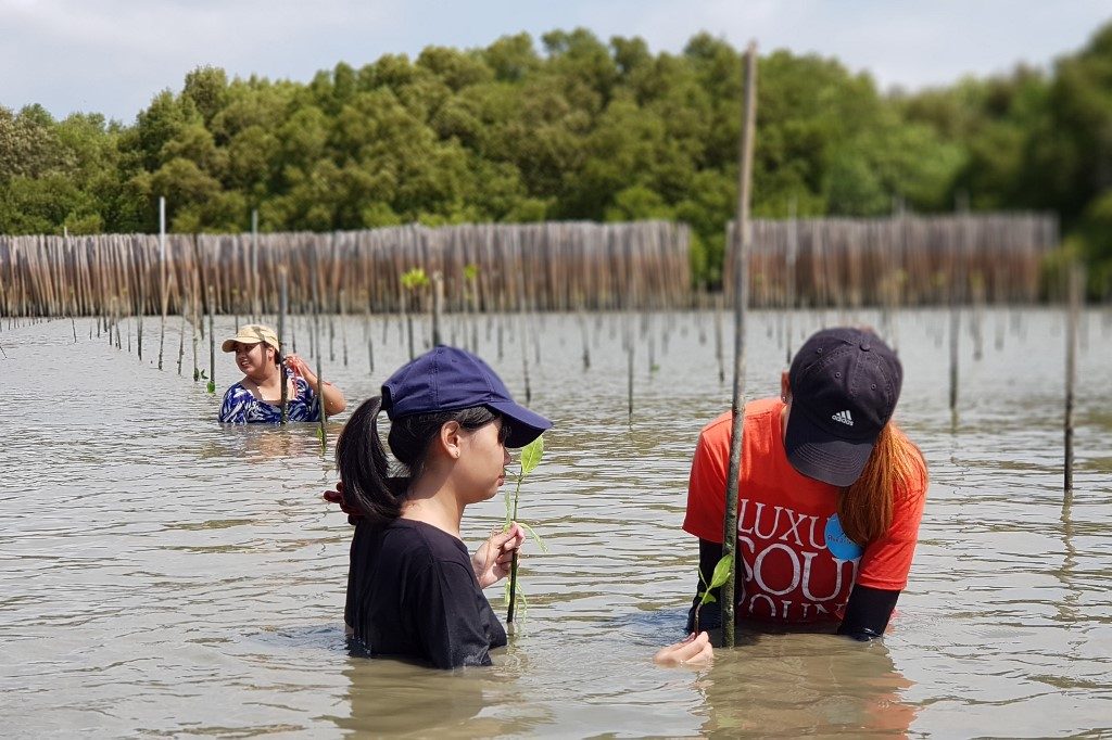 PLANTING MANGROVES. This handout photo released by Bgrimm Alma Link on March 28, 2019 and taken on March 9, 2019 shows volunteers planting mangrove seedlings in the village of Samut Chin, off the shores of Samut Prakan. Handout/Bgrimm Alma Link/AFP  