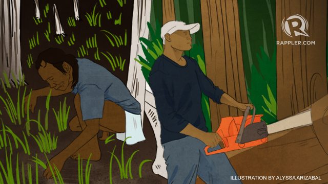 What’s eating up Mindoro’s forests?