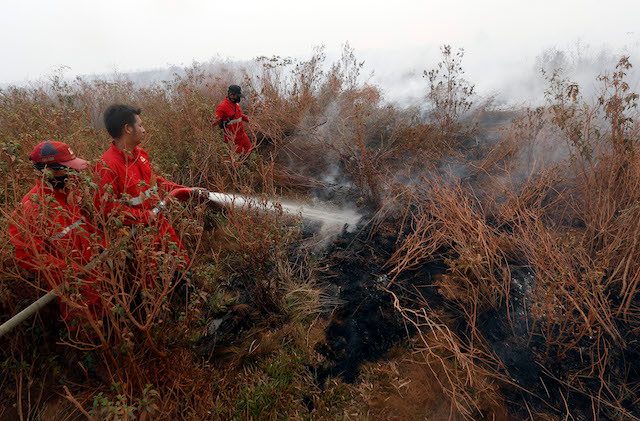 60 berkas kasus kebakaran hutan sampai di kejaksaan, 80 orang jadi tersangka