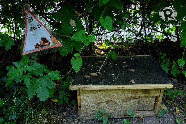 HOME FOR CRITTERS. Students helped make this 'hedgehog house' 