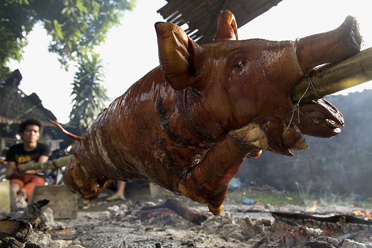 'LECHON'. Roasted pigs are consumed
communally after the parade. Photo by Noel Celis/AFP