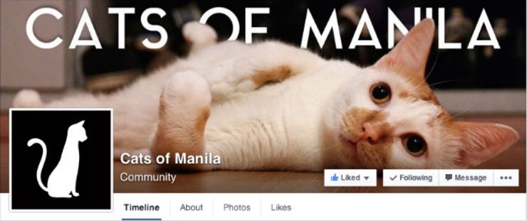 Cats with purrrrsonality invade Facebook