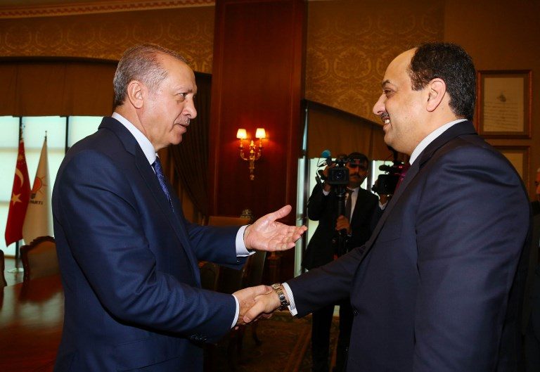 Turkey hopeful as Erdogan meets Qatar defense minister