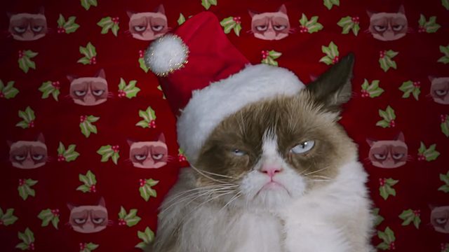 WATCH: Grumpy Cat in holiday movie trailer