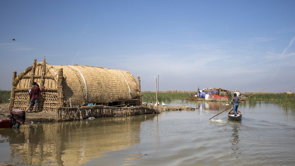 Iraqis use budding ecotourism to save marshes