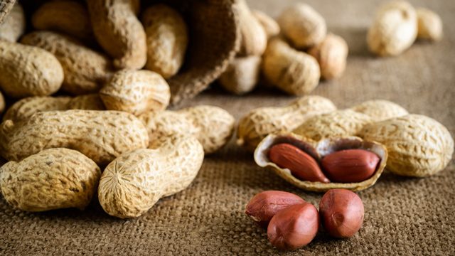 Eating peanuts helps infants avoid allergy, even after pause