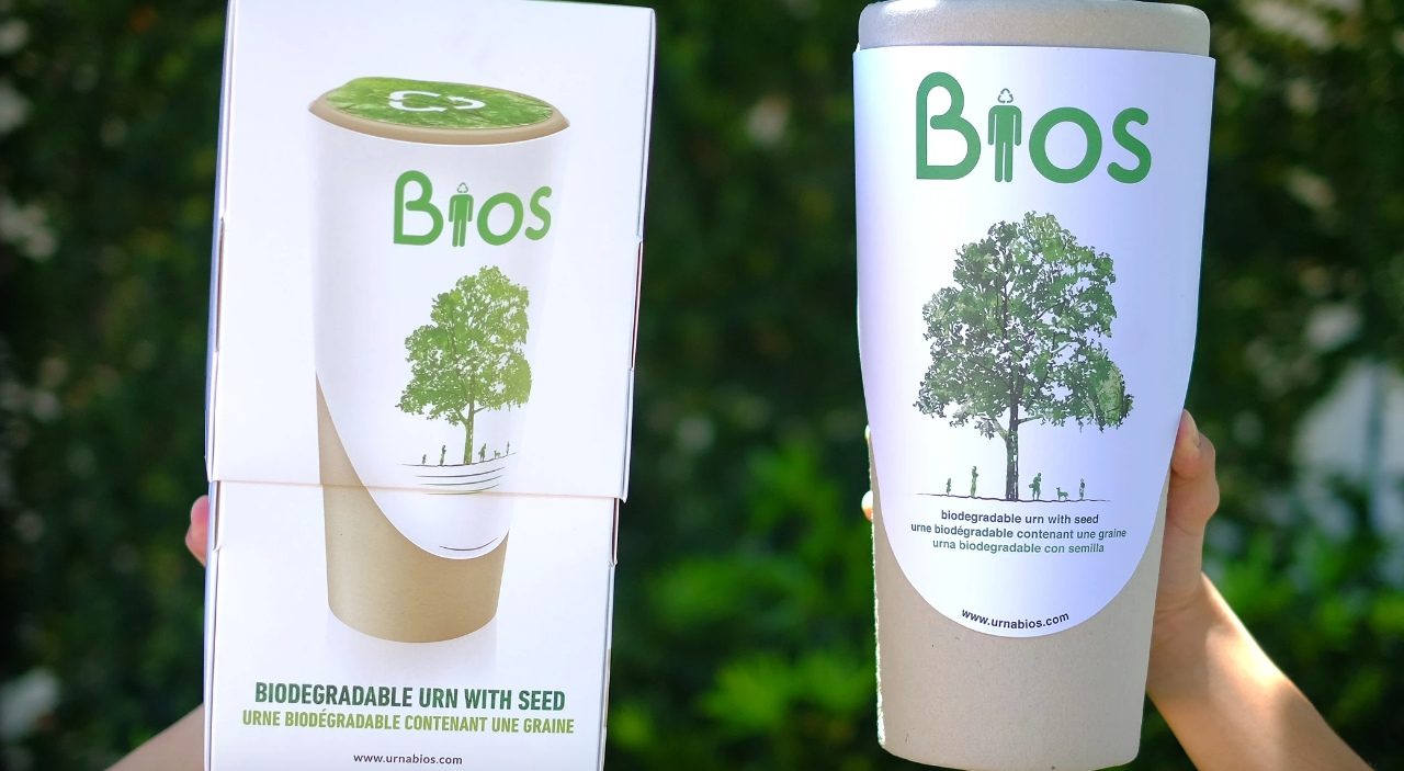 Would you want to be buried in a biodegradable urn?