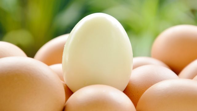 Cracking discovery: Japan scientist uses egg white for clean energy