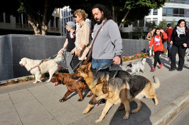 Dogs snub people who are mean to their owners – study