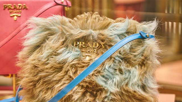 Luxury fashion brand Prada to shed animal fur from collection