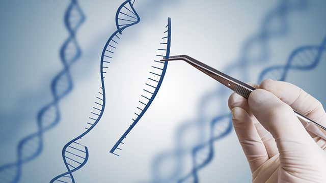 Gene-editing damages DNA more than previously thought – study