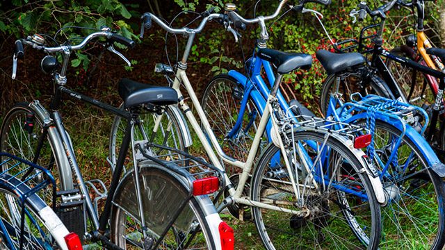 'Granny bikes' are a common commuter bike around the world. Photo from Shutterstock 