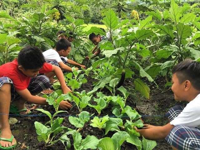 TEACHING AGRICULTURE. Students from Marinduque work on their school garden in one of AGREA's projects 'The Garden Classroom' that helps teach kids the value of growing their own food. Photo courtesy of AGREA 