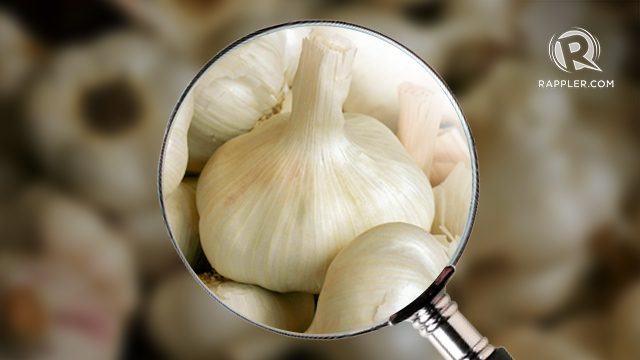 Probe on alleged resurgence of garlic cartel launched