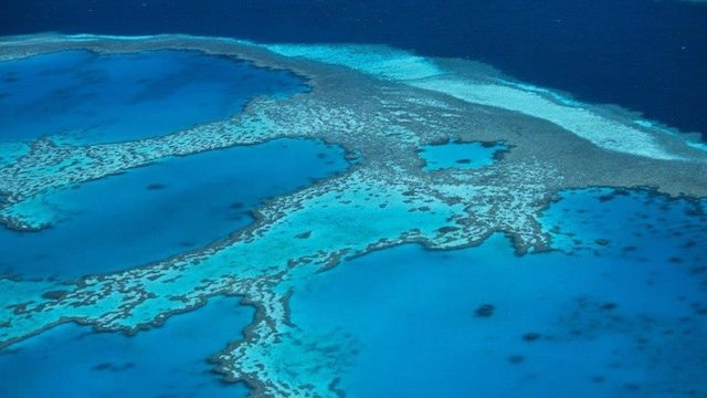 Australia says pollution falling at Great Barrier Reef