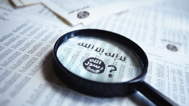 Inconsistencies in leaked ISIS files sound ‘alarm bells’ – analysts