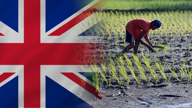 Inggris mencari proposal untuk pertanian PH yang berketahanan dan berkelanjutan