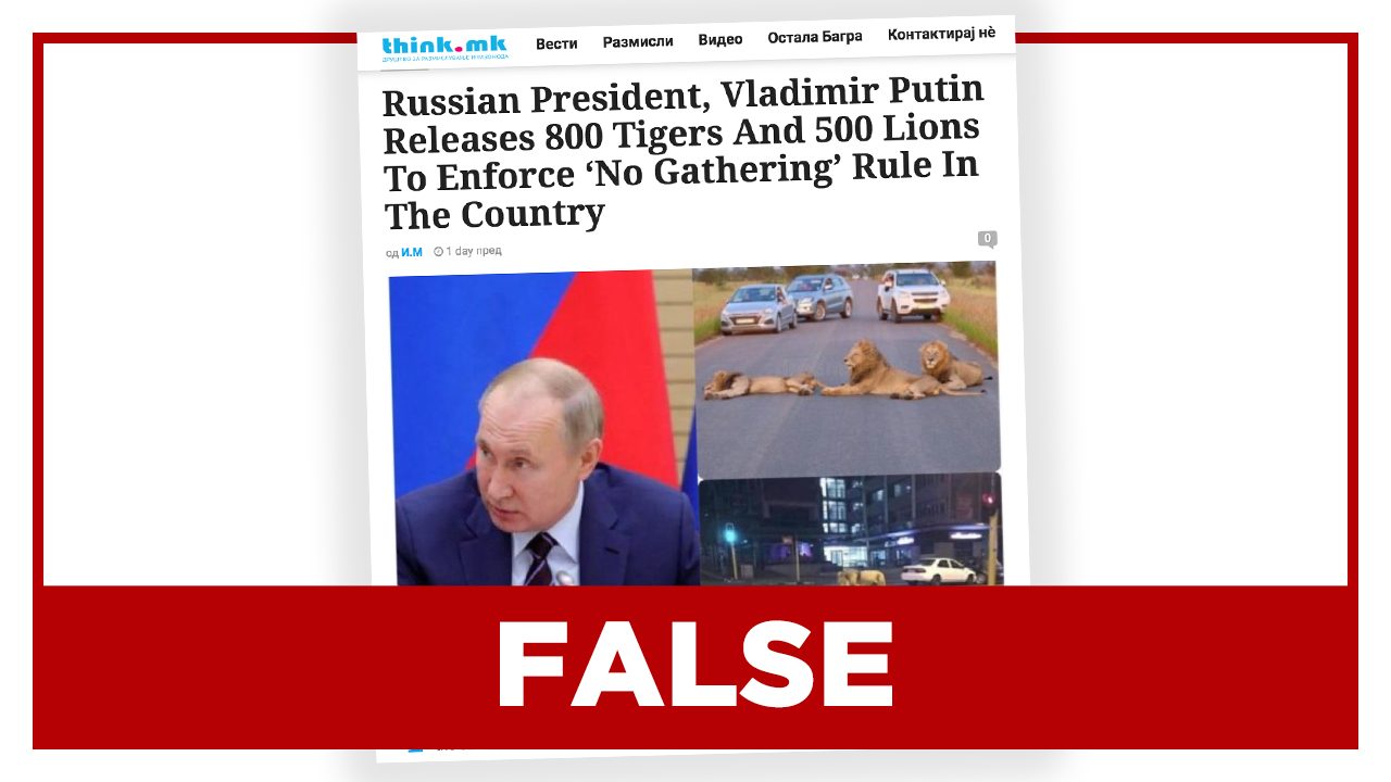 FALSE: Putin ‘releases 800 tigers and 500 lions’ to keep people at home