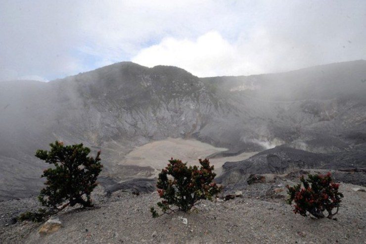 A view of crater of Tangkubanparahu mountain in Bandung on February 22, 2009. Photo by Adek Berry/AFP