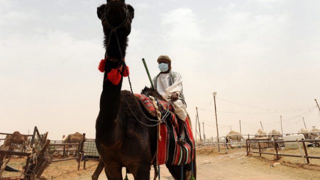 Saudi MERS toll surges to 282: ministry