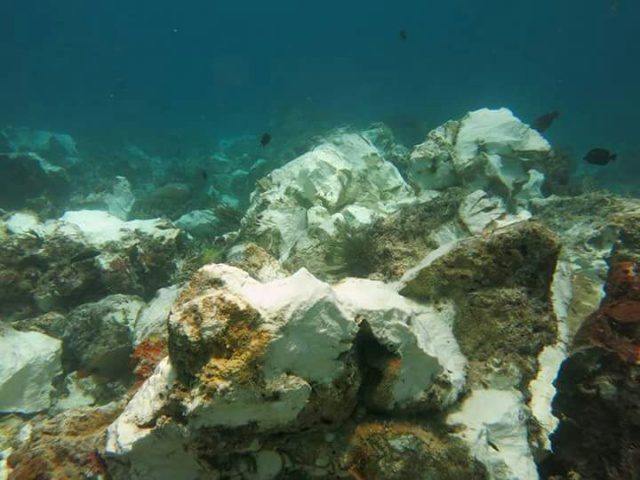 PUTIH. Kondisi terumbu karang di area Radja Ampat usai ditabrak oleh kapal pesiar Caledonian Sky pada Sabtu, 4 Maret menjadi putih. Foto dari Bakamla 