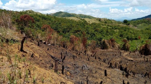 Duterte asked to stop illegal logging in vital Ipo Watershed