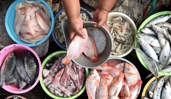 Masyarakat Indonesia semakin doyan makan ikan