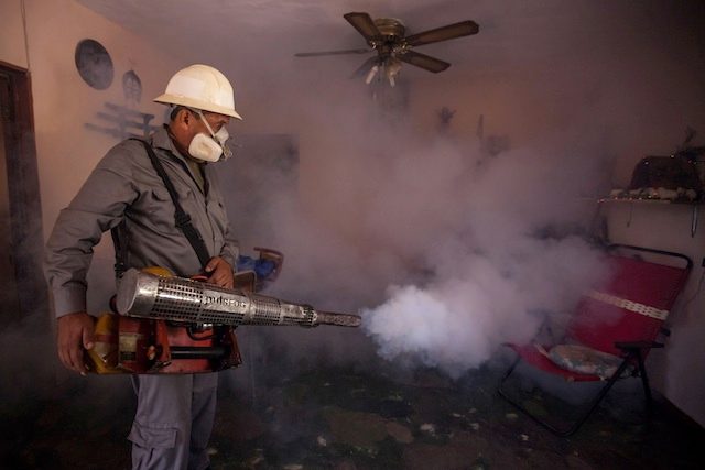 Fearing global spread WHO creates Zika response unit