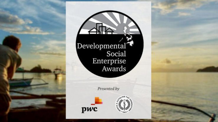 Call for nominees: Developmental Social Enterprise Awards
