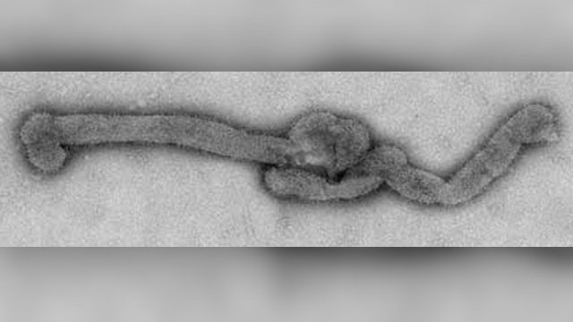 US authorities discover deadly ‘Bourbon’ virus