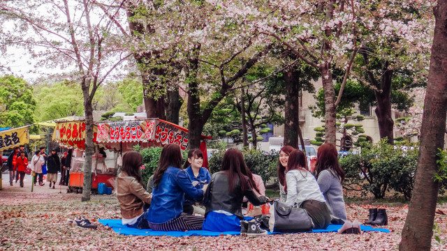 Tsuruma Park, salah satu lokasi terbaik untuk menikmati indahnya sakura di Jepang. 