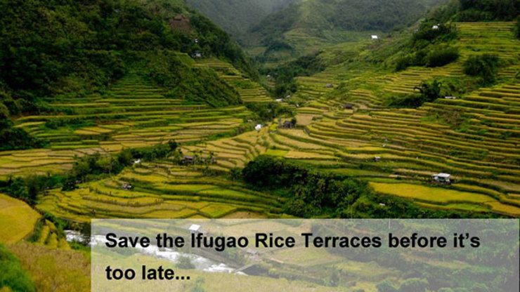 Save the Ifugao rice terraces? Scholarships are key