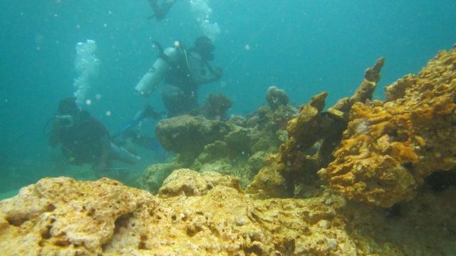 FOTO: Terumbu karang Raja Ampat rusak akibat ditabrak kapal Caledonian Sky