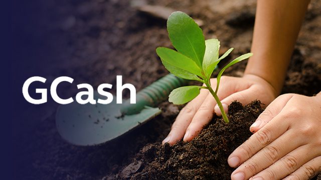 Use GCash app, help plant trees at Ipo Watershed
