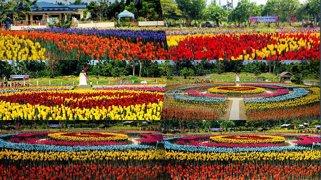 LOOK: Lamitan City turns trash into ‘tulips’ in ‘Forever Tulip Garden’