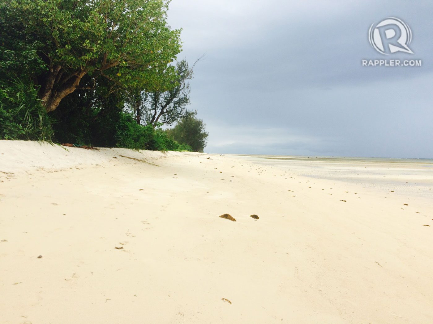 SOLITUDE. How about a date with nature? Photo by Bonz Magsambol/Rappler    