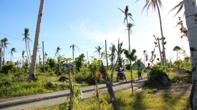 Tire path leads to progress of Leyte town