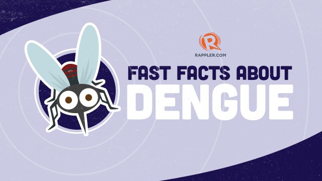 Fast facts about dengue in PH