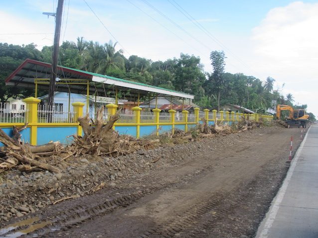 Palawan’s superhighway project called an ‘environmental disaster’