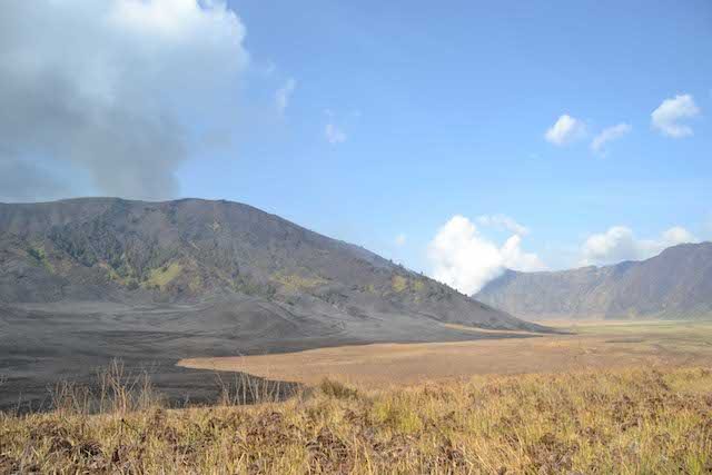 TERBAKAR. Bukit yang sudah terbakar di Taman Nasional Bromo Tengger Semeru. Foto: Rappler/Dyah Ayu Pitaloka 